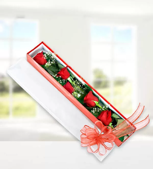 Zarif Kutuda 5 Kırmızı Gül