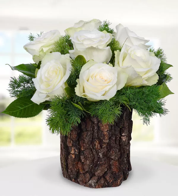 Doğal Kütükte İnci Tanesi 7 Beyaz Gül